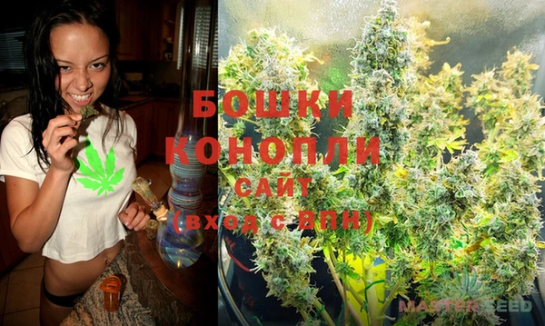 хмурый Зеленокумск