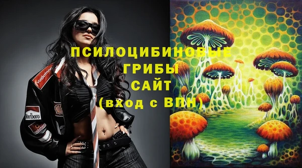 хмурый Зеленокумск