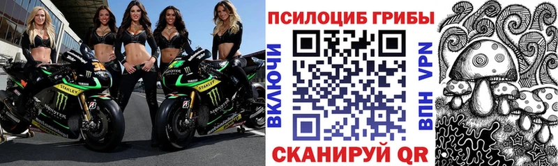 Псилоцибиновые грибы Psilocybe  Каргополь 